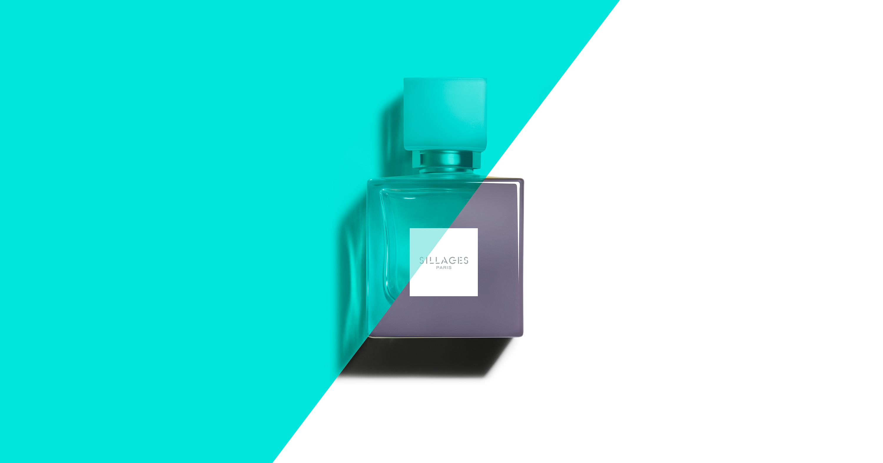 50ml bottle 2